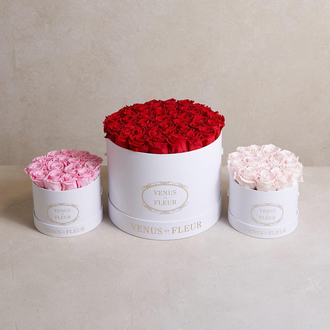 Eternal Rose Box with a red preserved flower and a jewelry drawer open